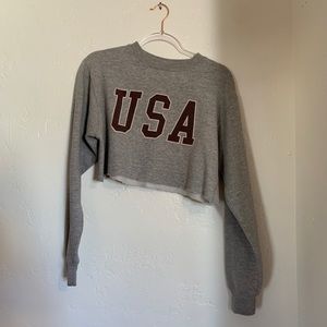 Pacsun Cropped Grey USA sweater